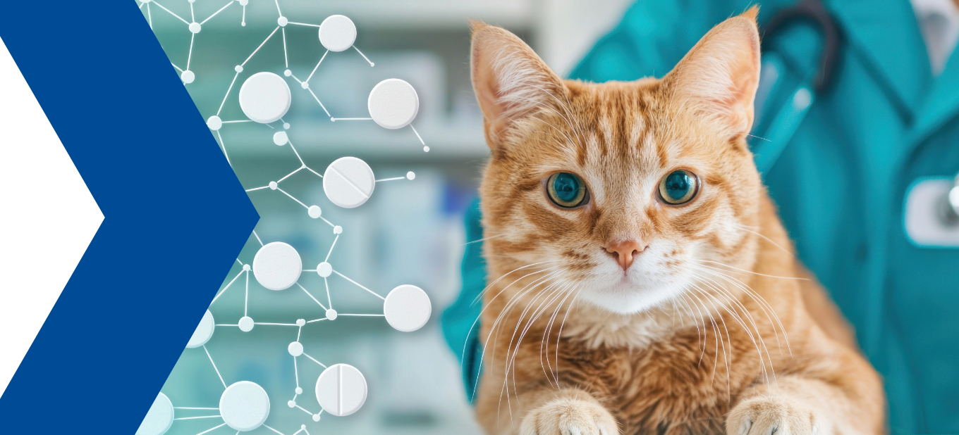 Veterinary GMP 2026: The New Regulatory Framework