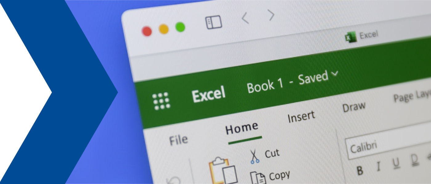 Process Models for the Validation of Excel Applications