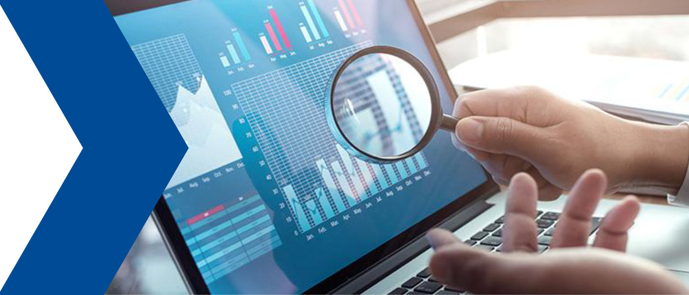 Remote, Distance, Offsite or Virtual Audits?